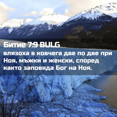 Picture 02 - Битие 7:9 BULG - влязоха в ковчега две по - Bible Verse Picture