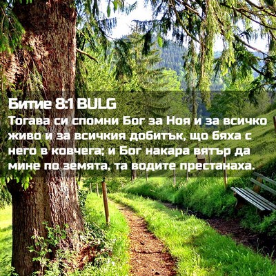 Picture 02 - Битие 8:1 BULG - Тогава си спомни Бог за Ноя - Bible Verse Picture