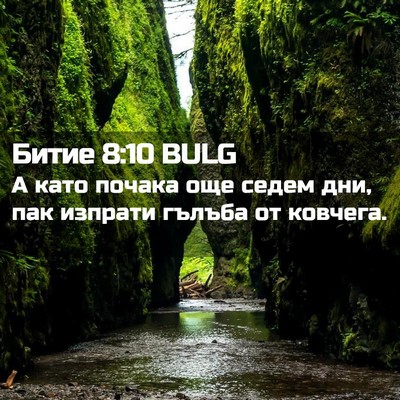 Picture 02 - Битие 8:10 BULG - А като почака още седем - Bible Verse Picture