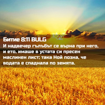 Picture 02 - Битие 8:11 BULG - И надвечер гълъбът се - Bible Verse Picture