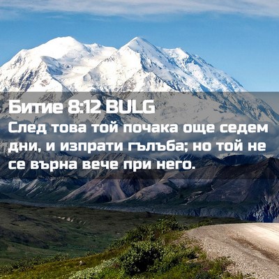 Picture 02 - Битие 8:12 BULG - След това той почака още - Bible Verse Picture