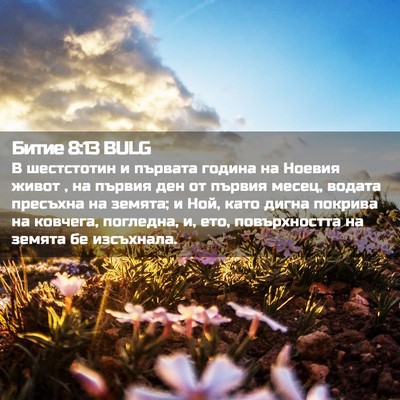 Picture 02 - Битие 8:13 BULG - В шестстотин и първата - Bible Verse Picture