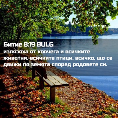 Picture 02 - Битие 8:19 BULG - излязоха от ковчега и - Bible Verse Picture