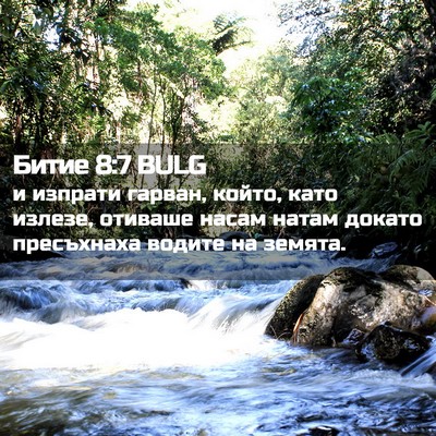 Picture 02 - Битие 8:7 BULG - и изпрати гарван, който, - Bible Verse Picture