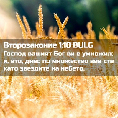 Picture 02 - Второзаконие 1:10 BULG - Господ вашият Бог ви е - Bible Verse Picture