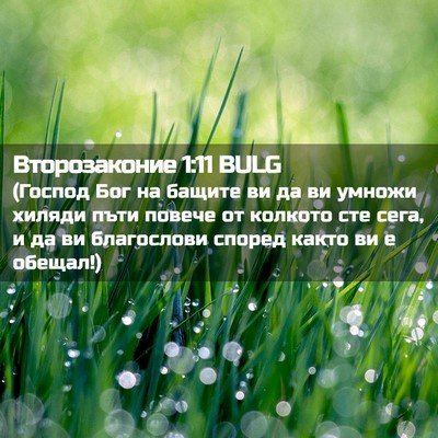 Picture 02 - Второзаконие 1:11 BULG - (Господ Бог на бащите ви да - Bible Verse Picture