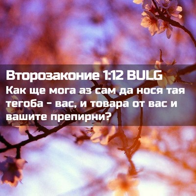 Picture 02 - Второзаконие 1:12 BULG - Как ще мога аз сам да нося - Bible Verse Picture