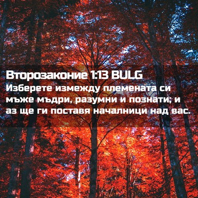 Picture 02 - Второзаконие 1:13 BULG - Изберете измежду - Bible Verse Picture