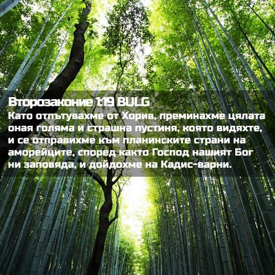 Picture 02 - Второзаконие 1:19 BULG - Като отпътувахме от Хорив, - Bible Verse Picture