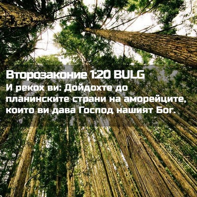 Picture 02 - Второзаконие 1:20 BULG - И рекох ви: Дойдохте до - Bible Verse Picture