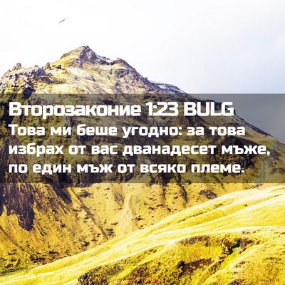 Picture 02 - Второзаконие 1:23 BULG - Това ми беше угодно: за - Bible Verse Picture