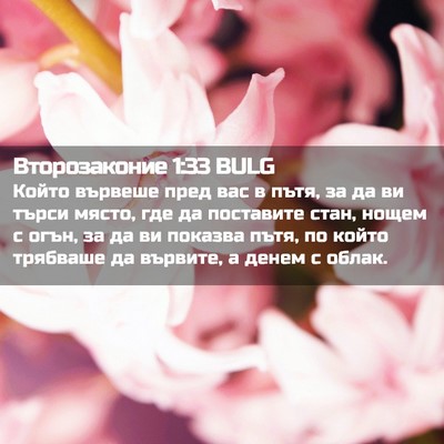 Picture 02 - Второзаконие 1:33 BULG - Който вървеше пред вас в - Bible Verse Picture