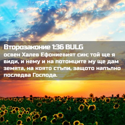 Picture 02 - Второзаконие 1:36 BULG - освен Халев Ефониевият - Bible Verse Picture