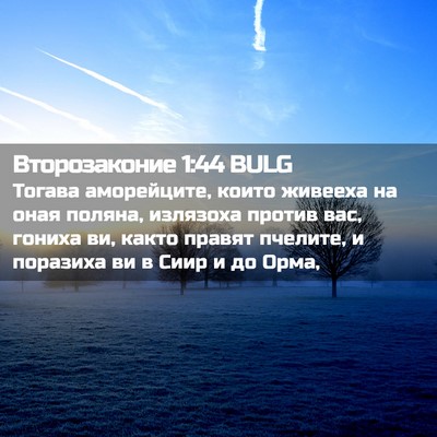Picture 02 - Второзаконие 1:44 BULG - Тогава аморейците, които - Bible Verse Picture