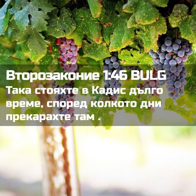 Picture 02 - Второзаконие 1:46 BULG - Така стояхте в Кадис дълго - Bible Verse Picture