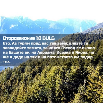 Picture 02 - Второзаконие 1:8 BULG - Ето, Аз турям пред вас тая - Bible Verse Picture