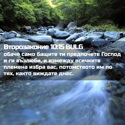 Picture 02 - Второзаконие 10:15 BULG - обаче само бащите ти - Bible Verse Picture