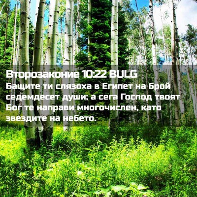 Picture 02 - Второзаконие 10:22 BULG - Бащите ти слязоха в Египет - Bible Verse Picture