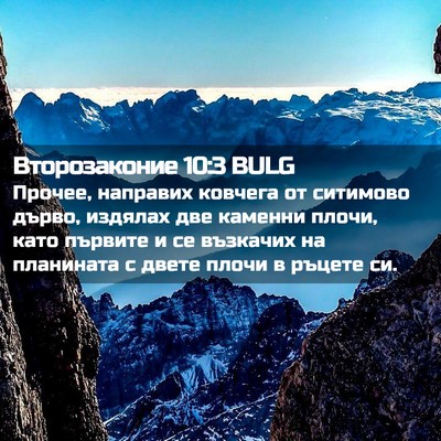 Picture 02 - Второзаконие 10:3 BULG - Прочее, направих ковчега - Bible Verse Picture