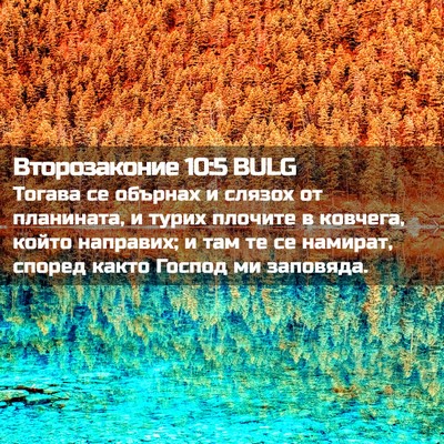 Picture 02 - Второзаконие 10:5 BULG - Тогава се обърнах и слязох - Bible Verse Picture