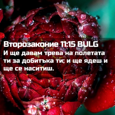Picture 02 - Второзаконие 11:15 BULG - И ще давам трева на - Bible Verse Picture
