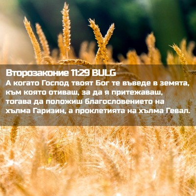 Picture 02 - Второзаконие 11:29 BULG - А когато Господ твоят Бог - Bible Verse Picture