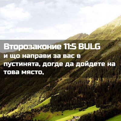 Picture 02 - Второзаконие 11:5 BULG - и що направи за вас в - Bible Verse Picture