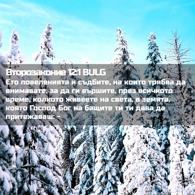 Picture 02 - Второзаконие 12:1 BULG - Ето повеленията и съдбите, - Bible Verse Picture