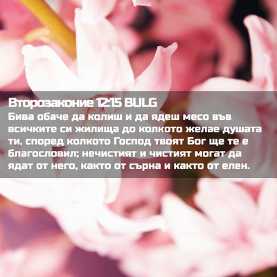Picture 02 - Второзаконие 12:15 BULG - Бива обаче да колиш и да - Bible Verse Picture