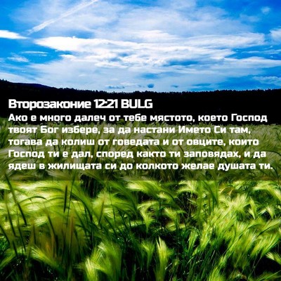 Picture 02 - Второзаконие 12:21 BULG - Ако е много далеч от тебе - Bible Verse Picture