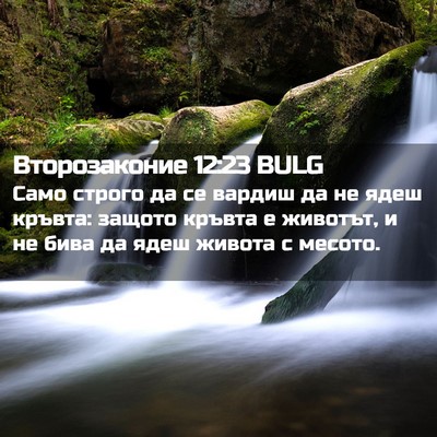 Picture 02 - Второзаконие 12:23 BULG - Само строго да се вардиш да - Bible Verse Picture