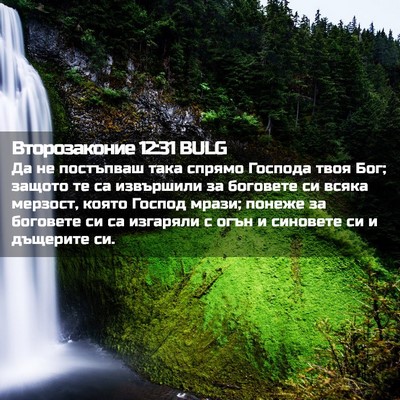 Picture 02 - Второзаконие 12:31 BULG - Да не постъпваш така - Bible Verse Picture