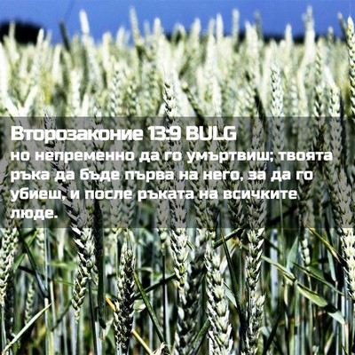 Picture 02 - Второзаконие 13:9 BULG - но непременно да го - Bible Verse Picture