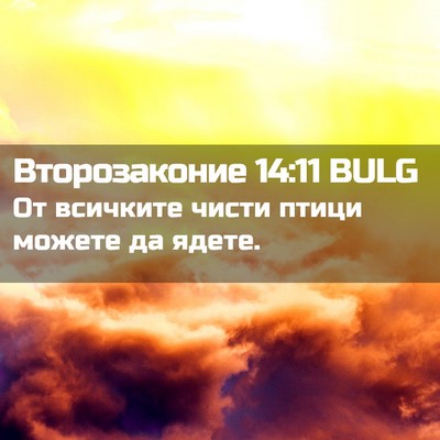 Picture 02 - Второзаконие 14:11 BULG - От всичките чисти птици - Bible Verse Picture