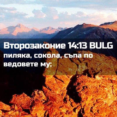 Picture 02 - Второзаконие 14:13 BULG - пиляка, сокола, съпа по - Bible Verse Picture