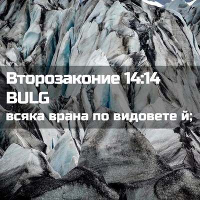 Picture 02 - Второзаконие 14:14 BULG - всяка врана по видовете - Bible Verse Picture