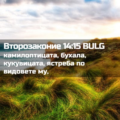 Picture 02 - Второзаконие 14:15 BULG - камилоптицата, бухала, - Bible Verse Picture