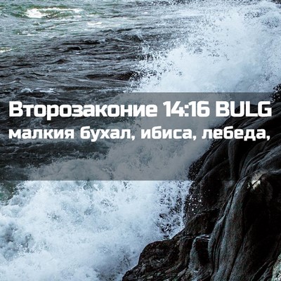 Picture 02 - Второзаконие 14:16 BULG - малкия бухал, ибиса, - Bible Verse Picture