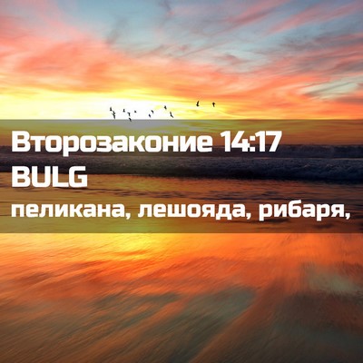 Picture 02 - Второзаконие 14:17 BULG - пеликана, лешояда, - Bible Verse Picture