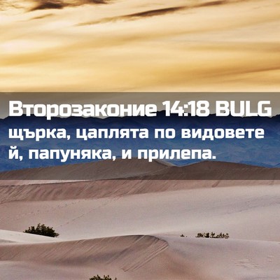 Picture 02 - Второзаконие 14:18 BULG - щърка, цаплята по видовете - Bible Verse Picture