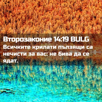 Picture 02 - Второзаконие 14:19 BULG - Всичките крилати пълзящи - Bible Verse Picture