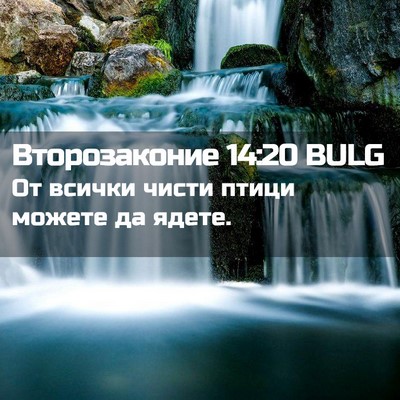 Picture 02 - Второзаконие 14:20 BULG - От всички чисти птици - Bible Verse Picture