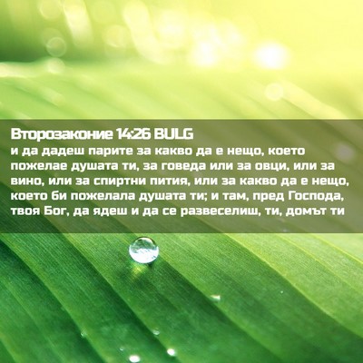 Picture 02 - Второзаконие 14:26 BULG - и да дадеш парите за какво - Bible Verse Picture