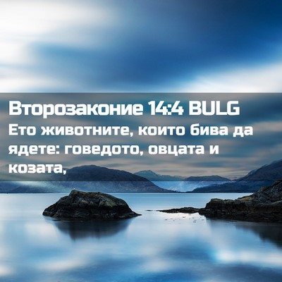 Picture 02 - Второзаконие 14:4 BULG - Ето животните, които бива - Bible Verse Picture