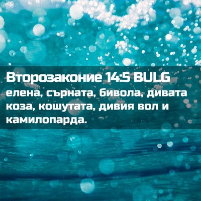 Picture 02 - Второзаконие 14:5 BULG - елена, сърната, бивола, - Bible Verse Picture