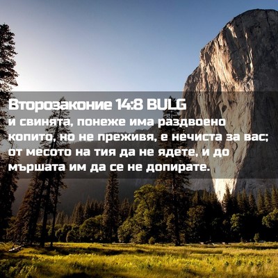 Picture 02 - Второзаконие 14:8 BULG - и свинята, понеже има - Bible Verse Picture