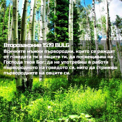 Picture 02 - Второзаконие 15:19 BULG - Всичките мъжки първородни, - Bible Verse Picture