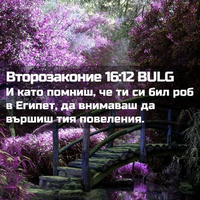 Picture 02 - Второзаконие 16:12 BULG - И като помниш, че ти си бил - Bible Verse Picture