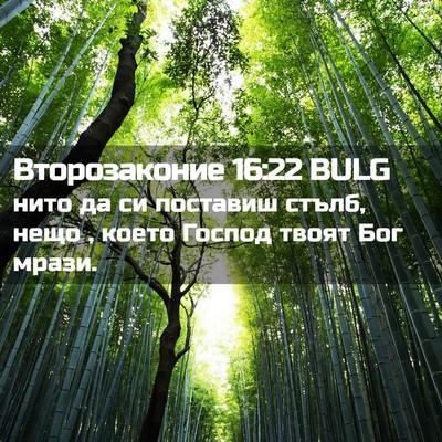 Picture 02 - Второзаконие 16:22 BULG - нито да си поставиш стълб, - Bible Verse Picture