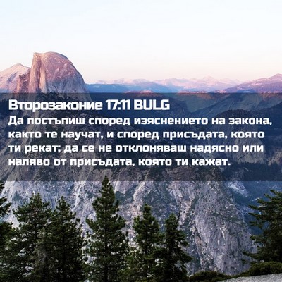 Picture 02 - Второзаконие 17:11 BULG - Да постъпиш според - Bible Verse Picture